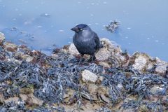 20240923-havengeul_DSF6505-scaled