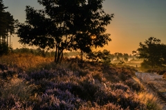 20240828-heide_DSF4888