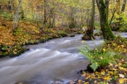 20211103_semois_DSF8995