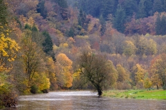 20211103_bouillon_DSF9401