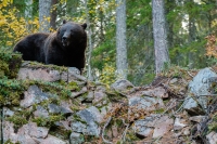 20210919_canyon_DSF8190_bewerkt